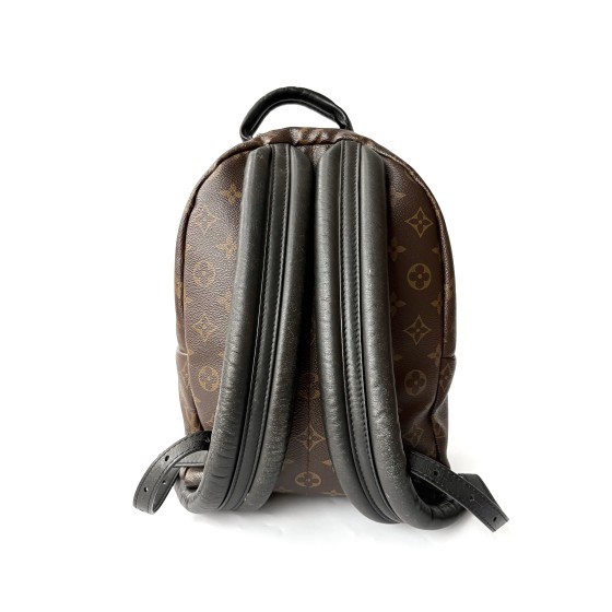 Louis Vuitton Palm Springs PM Backpack